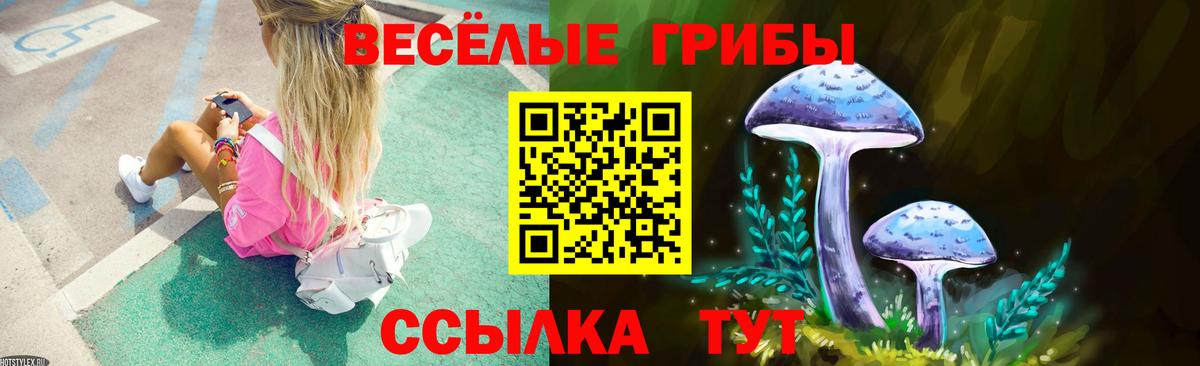 Псилоцибиновые грибы Magic Shrooms Железногорск